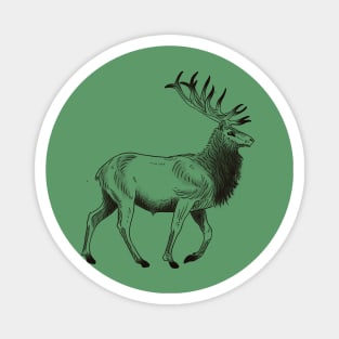 Stag Magnet